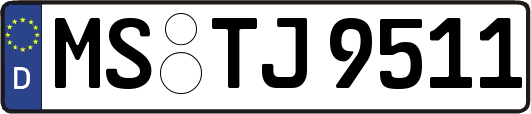 MS-TJ9511