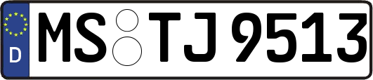 MS-TJ9513