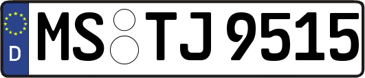 MS-TJ9515