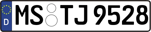 MS-TJ9528