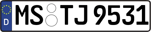 MS-TJ9531
