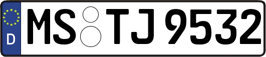 MS-TJ9532