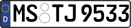 MS-TJ9533
