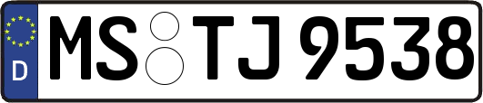 MS-TJ9538