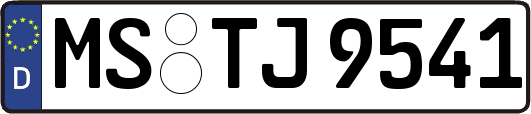MS-TJ9541