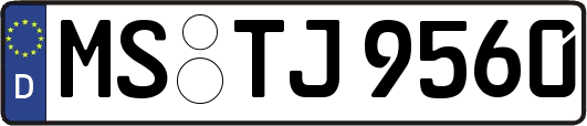 MS-TJ9560