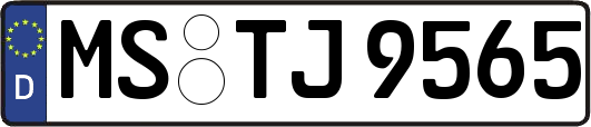 MS-TJ9565