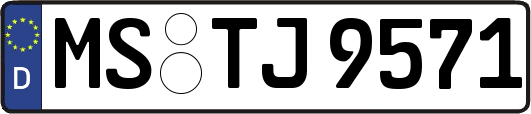 MS-TJ9571