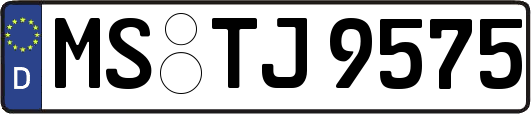 MS-TJ9575