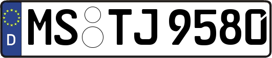 MS-TJ9580