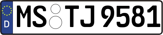 MS-TJ9581