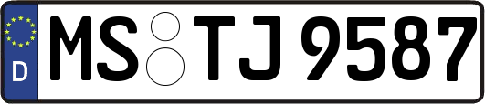 MS-TJ9587