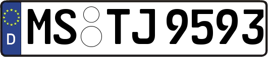 MS-TJ9593