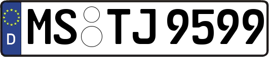 MS-TJ9599
