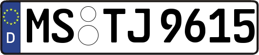 MS-TJ9615