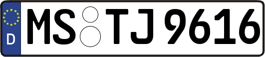 MS-TJ9616