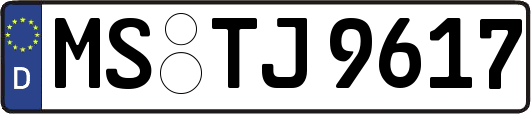 MS-TJ9617