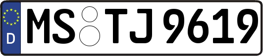 MS-TJ9619