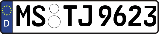MS-TJ9623