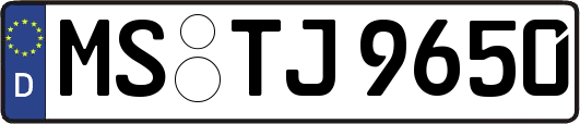 MS-TJ9650