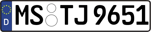 MS-TJ9651