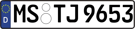 MS-TJ9653