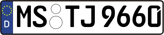 MS-TJ9660