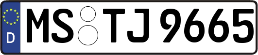 MS-TJ9665