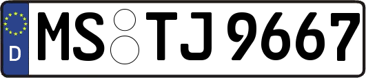 MS-TJ9667