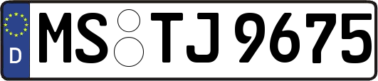 MS-TJ9675
