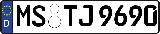 MS-TJ9690