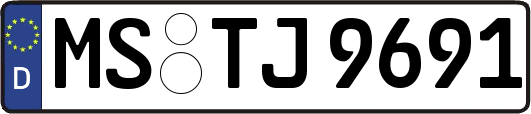 MS-TJ9691