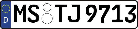 MS-TJ9713