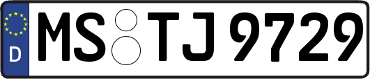 MS-TJ9729
