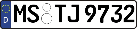 MS-TJ9732