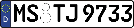 MS-TJ9733