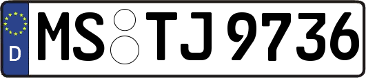 MS-TJ9736