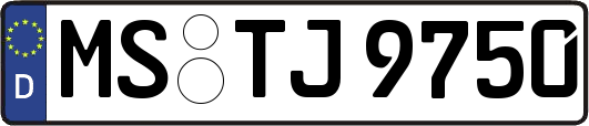 MS-TJ9750