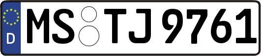 MS-TJ9761
