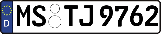 MS-TJ9762