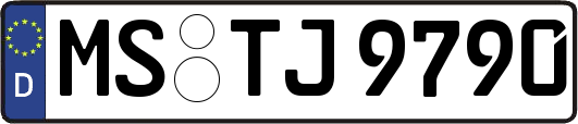 MS-TJ9790