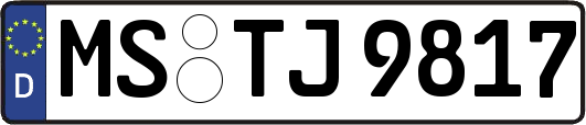 MS-TJ9817