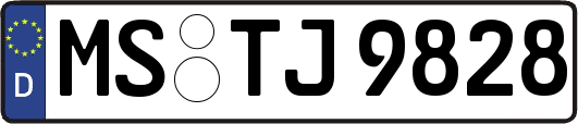 MS-TJ9828