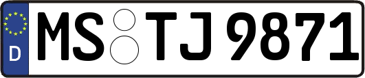 MS-TJ9871