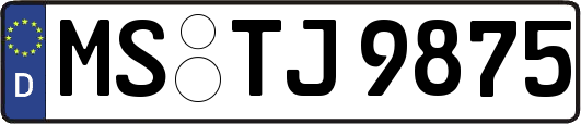 MS-TJ9875