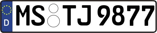 MS-TJ9877