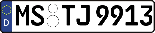 MS-TJ9913