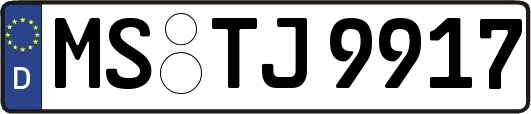 MS-TJ9917