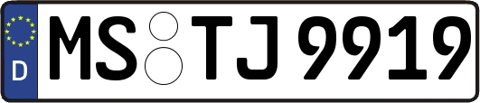 MS-TJ9919