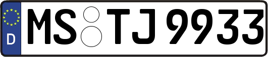 MS-TJ9933